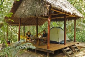 amazonica_2