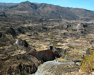 colca_ecoamericaperu