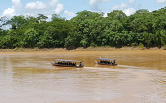 tambopata_river_trip_ecoamericaperu